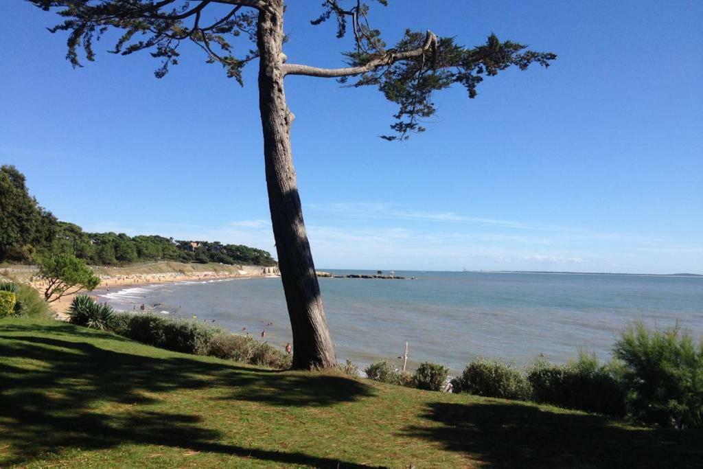 18 Rue De La Corvette Lägenhet Saint-Palais-sur-Mer Exteriör bild
